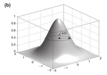 Figure 2.2: Gaussian diffusion as characterized in (a) one, (b) two, and (c) three dimensions. The diffusion probability distribution in an isotropic medium (i.e., probability of diffusion is uniform in all directions) has a spherical shape in three dimensions.