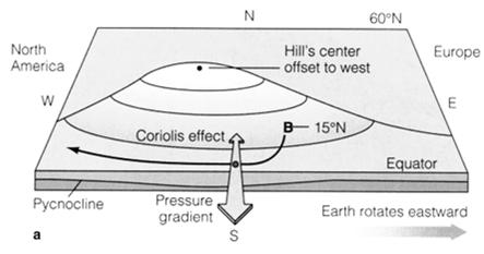 Step 3: Geostrophic Current (Pressure Gradient