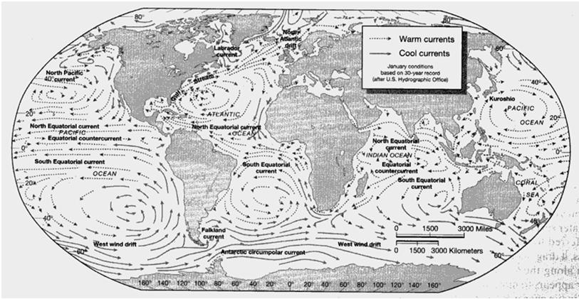 Australian Current (in the South Pacific) Agulhas Current (in the Indian Ocean) South Equatorial Current The 6 th and the largest current: Antarctic Circumpolr Current (also called West Wind Drift)