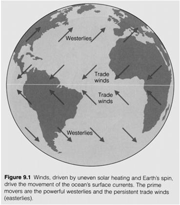 History / Wind-Driven Circulation (from Robert H.
