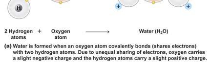 Polar bonds: the atoms don t