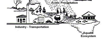 Acids in the Environment Acid Rain The two main sources of acid rain are 2 SO 4 and NO 3.