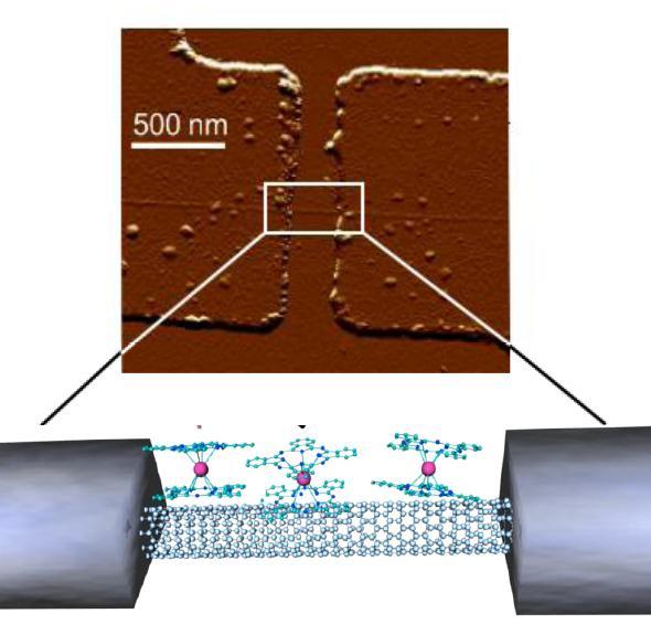 Molecular spin-valve Devices Molecular spin-transistor Electronic read-out of a single