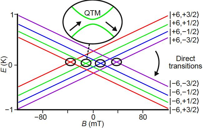 Single Nuclear Spin Detection Transition