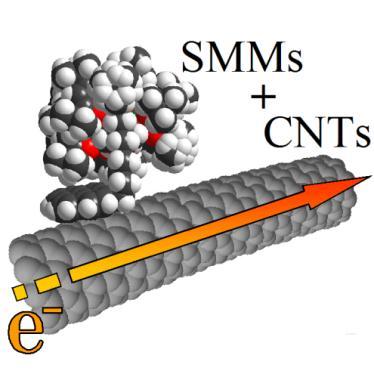 Molecule Grafting on Carbon Nanotubes Dipping the