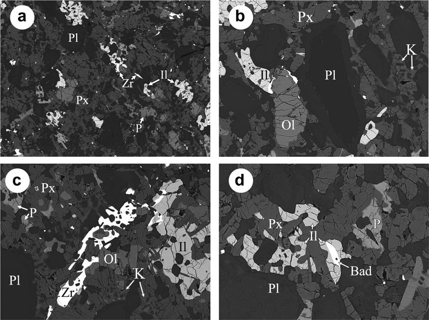 22 Y. Lin et al. / Geochimica et Cosmochimica Acta 85 (2012) 19 40 Fig. 2. BSE images of typical textures in the fine-grained matrix of the impact melt breccia lithology.