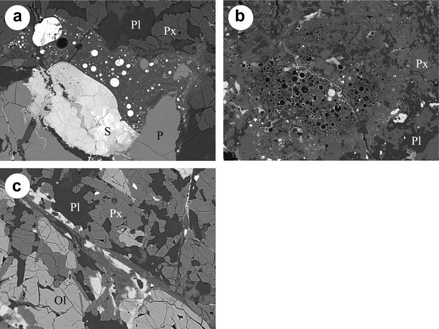 Y. Lin et al. / Geochimica et Cosmochimica Acta 85 (2012) 19 40 25 inclusions show lamella textures in the CL images (Fig. 7d).