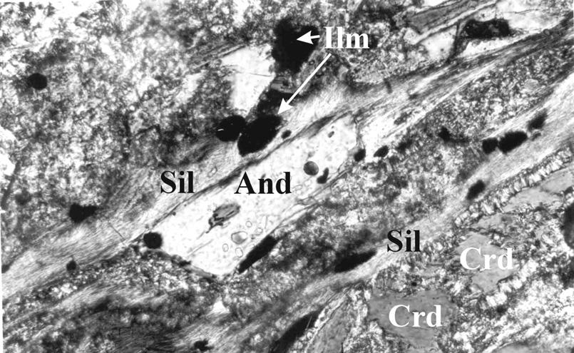 And=andalusite, Kfs=K-feldspar, Bi=biotite, Crd=cordierite (altered to sericitic muscovite and chlorite). Microphotograph: length 1mm: one polar only.