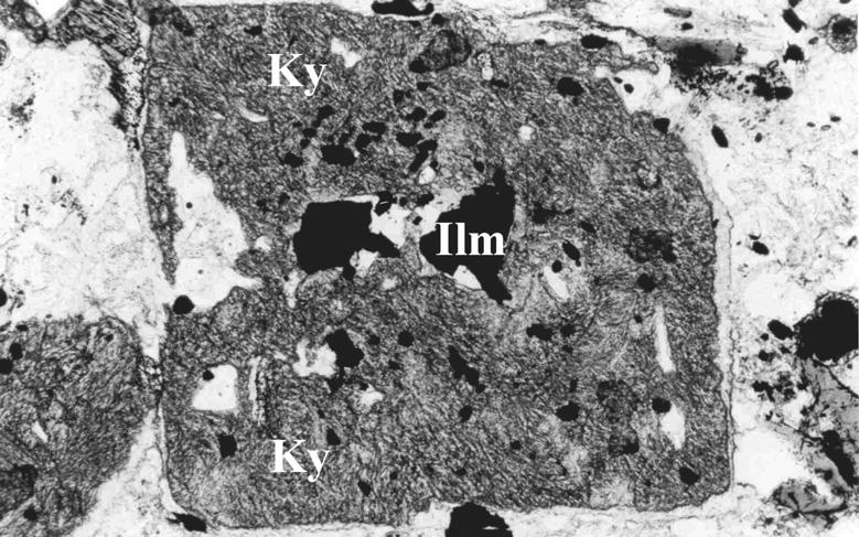 a b c d Fig. 4: Andalusite-sillimanite-(cordierite)-gneisses: Alpine overprint. a: Thin prismatic kyanite aggregates (Ky) replace pseudomorphically idiomorphic andalusite crystal.