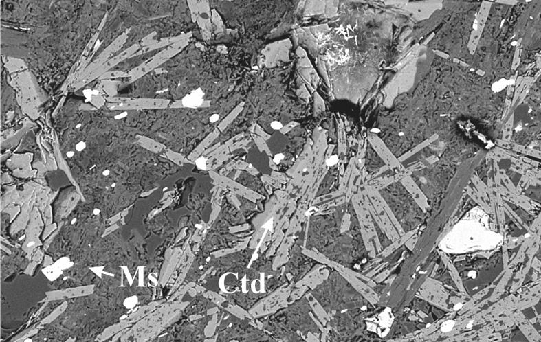 (Ms=muscovite) c: SEM-photograph showing aggregates of staurolite (St), chloritoid and quartz, replacing pseudomorphically cordierite: SEM.