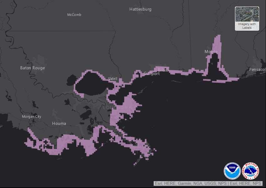 Storm Surge Watch/Warning A Storm Surge Watch is in effect for the entire coastal area in the forecast area with the exception