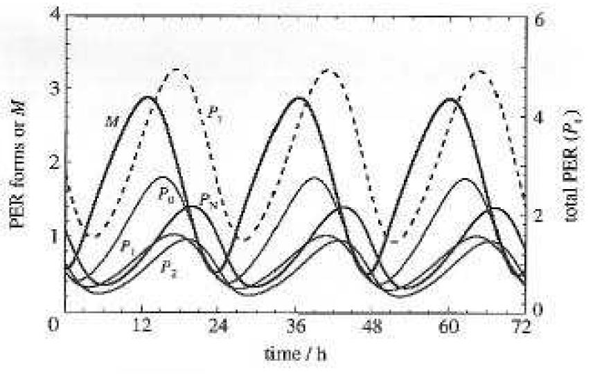 Results Results (1) Oscillations and