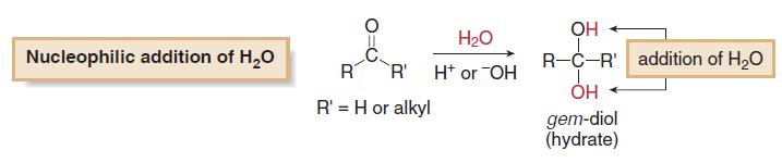 Addition of H 2 O Hydration Treatment of a carbonyl compound with H 2 O in the presence of an acid or base catalyst adds the elements of H and OH across the carbon oxygen o bond, forming a
