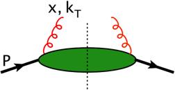 Γ ij (x, k T )= 1 xp + Eight Gluon TMDs dz d 2 z T (2π) 3 e ik z P, S F +i (0) W[0 ; z] F +j (z) P, S z + =0 Γ [T even] (x, k T ) flip Γ [T odd] (x, k T ) flip U L T f g 1 g g 1L g g 1T h g 1 f g 1T