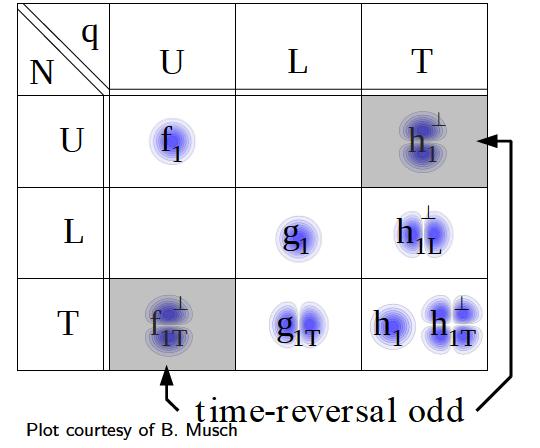 Quark spin projection of correlator on γ +,γ + γ 5,γ + γ γ 5 8 quark TMDs, catagorized by nucleon/quark spin well-studied : [experimentally &