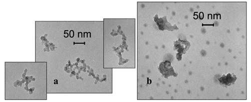 Figure 2. Transmission electron microscopy images of (a) fresh soot agglomerates and (b) soot exposed to 1.5 10 10 cm 3 H 2 SO 4 vapor for 12 s. reservoir.