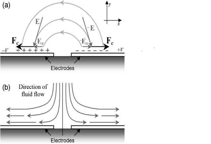 ELECTRO-OSMOTIC FLOW Caused by Coulomb force on net mobile charge In the process, it creates an electric double layer