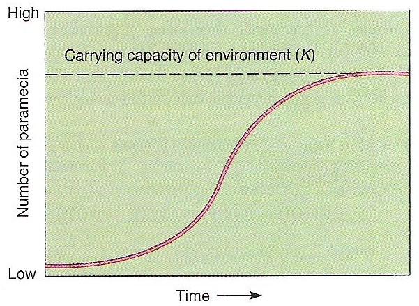 ENVIRONMENTAL RESISTANCE & CARRYING CAPACITY Carrying capacity (K): The maximum