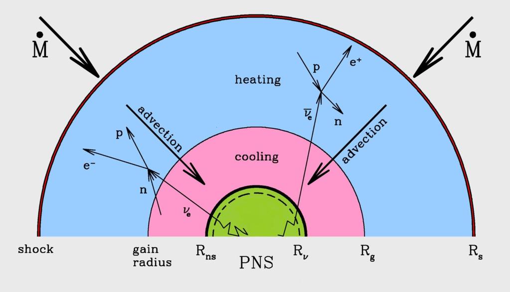Neutrinos to the Rescue Neutrino heating increases pressure