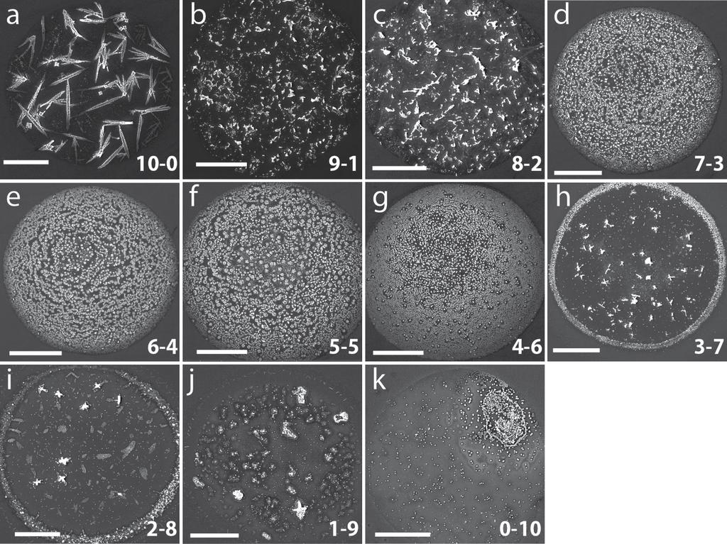 Figure S8. SEM micrographs of varying compositions of Pd-Au.