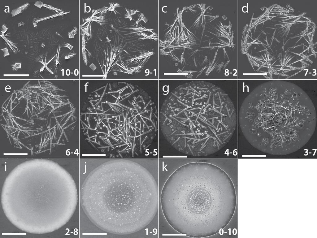 Figure S9. SEM micrographs of varying compositions of Pd-Co.