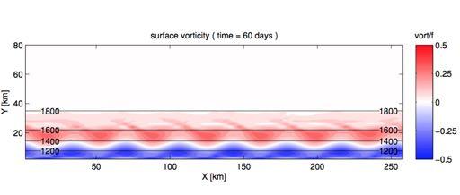Coastal Oceanography 80 surface vorticity ( time = 100 days ) vort/f 0.5 60 0.