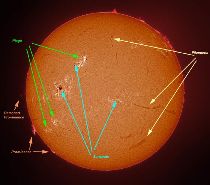 Granules Diameter: ~1,000 km Life4me: 8-20 min Sunspots - dark, low temperature areas