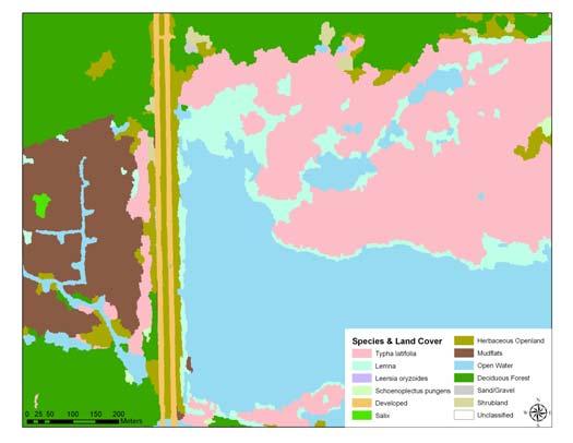Figure 3: An example of multi-spectral one-meter resolution imagery (left) that was classified into species-specific land cover for a wetland area in central Michigan, using object-based image