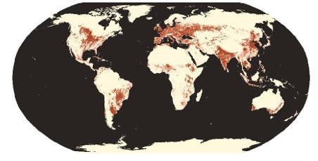 Knowledge Map Less than 1/7 of world s total surface area raises 7 billion population.