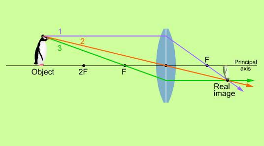 Image FormaBon s s 1. A ray parallel to the principal o axis is refracted through i the focal point. 2. A ray through the center of the lens is not refracted. 3.