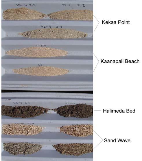 SEI SURVEYS: KAANAPALI (2008) Kaanapali Beach Sand vs Vibracore Samples 100 Mean -20% 20% V1BP0-4 V1BP4-8 90 V2BP*0-2 V2BP*0-3 80 V3BP0-2 V3BP2-4 V3BP4-6 70 V3BP6-8 V4BP0-6 % Finer Than by Weight 60