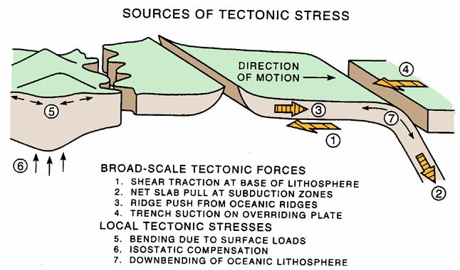 Erik Eberhardt EOSC 433 (Term 2, 2005/06) Influence of Geological Factors In Situ Stress When considering the loading conditions imposed on the rock mass, it must be recognized that an in situ