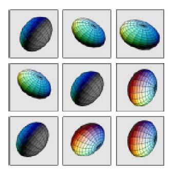3 Tensorial morphological gradient of diffusion tensor images As stated before, the tensorial morphological gradient (TMG) was first applied to tensorial images representing color images [17], but