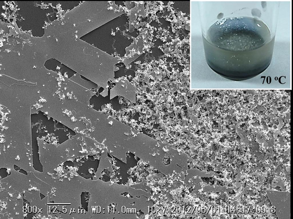Electronic Supplementary Material (ESI) for Physical Chemistry Chemical Physics Figure S3: Typical SEM image of the Ag nanomaterial synthesized