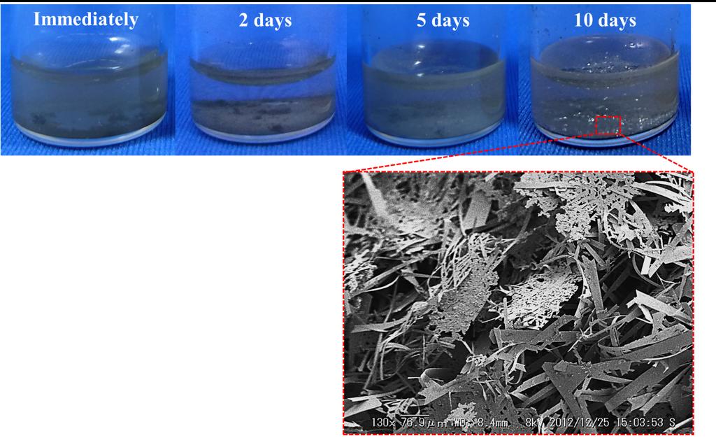 Electronic Supplementary Material (ESI) for Physical Chemistry Chemical Physics Figure S4: Digital images of typical Ag nanomaterial synthesized in PEG