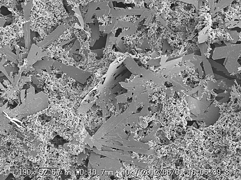 Figure S5: Typical SEM image of Ag nanomaterial synthesized in PEG (M w =