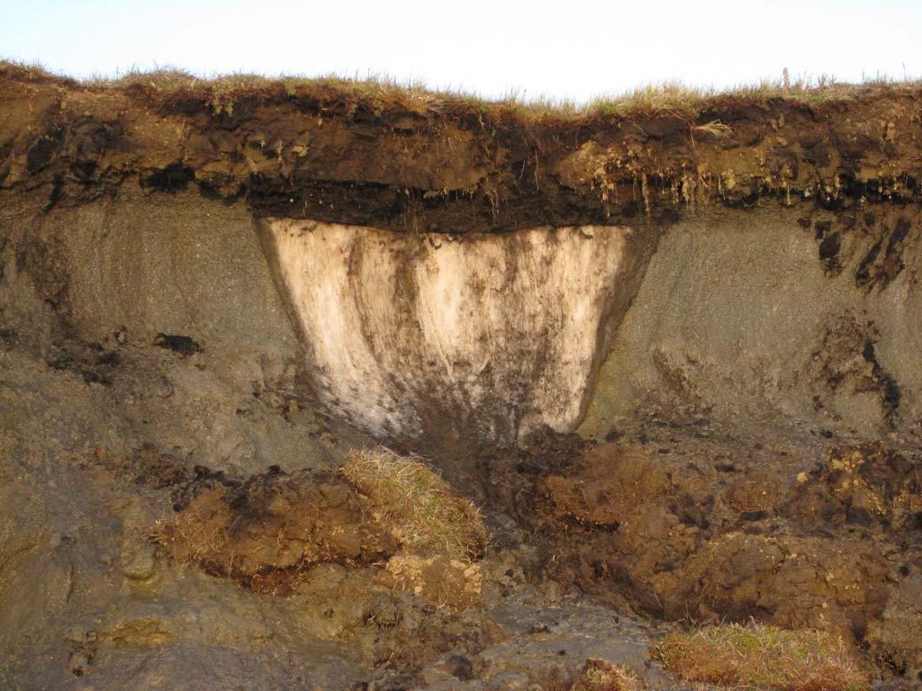 Remote Sensing of Permafrost which Remote Sensing products? applicability to Permafrost landscapes?