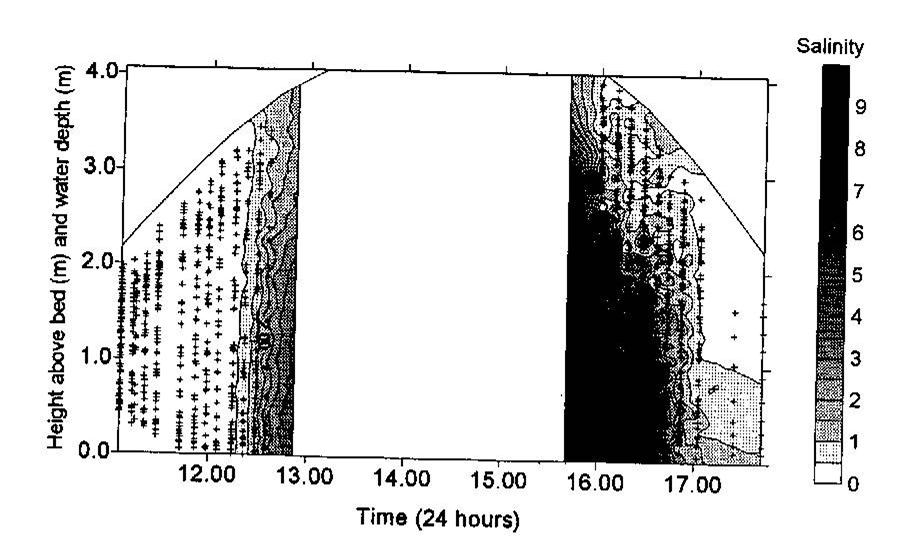 Sections of salinity measured at Station A during neap tide on 15 September 1998.