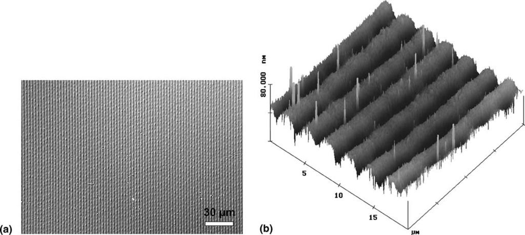 252 A.A. Bettiol et al. / Nucl. Instr. and Meth. in Phys. Res. B 210 (2003) 250 255 Fig. 2. (a) Differential interference contrast (DIC) optical image of an implanted line grating in PMMA.