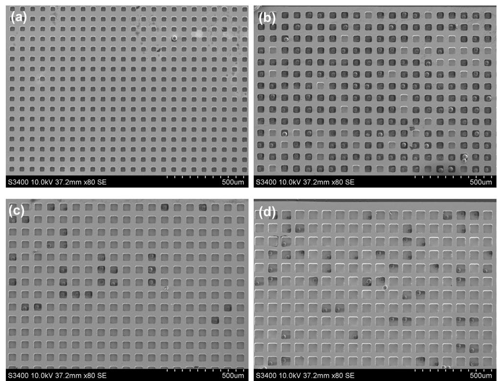 Figure S2. Optimization of the microwell sizes in the array (a) 30 µm 30 µm (b) 40 µm 40 µm (c) 50µm 50 µm (d) 60µm 60 µm 5.