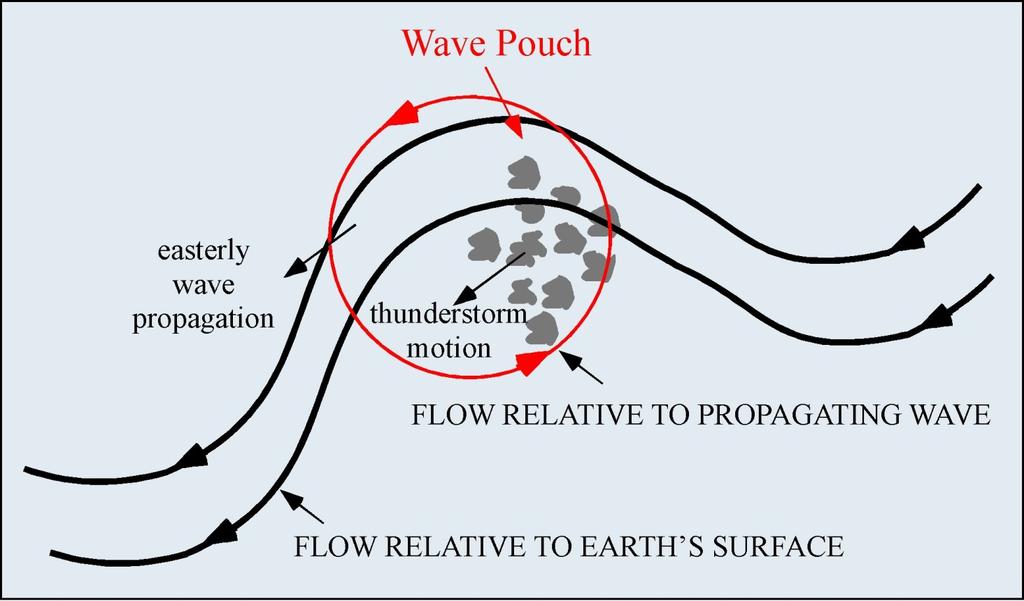 Wave Pouch Serves two important roles: Thunderstorms within the pouch continually moisten the mid-levels, which reduces evaporation.