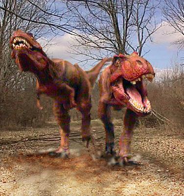 Can you name any dinosaurs? Do you know what they looked like or how they moved?
