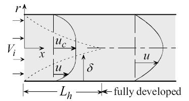 Entrance vs. fully developed- Flow Field Entrance Region (Developing Flow, 0 x L h ) Fully Developed Flow Region (L h x) Core velocity u c increases with axial distance x (u c is not constant).