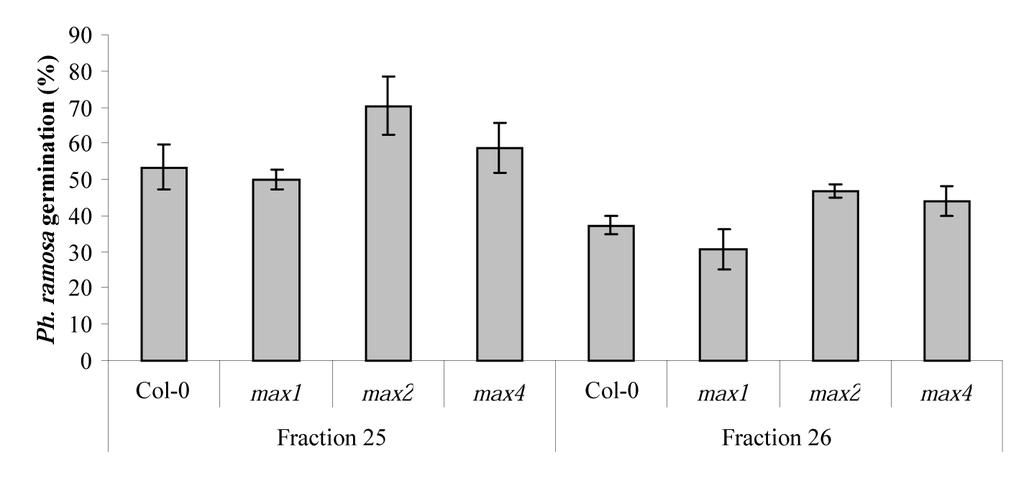 Supplemental data Figure S6.1: Germination of Phelipanche ramosa seeds induced by HPLC fractions 25 and 26 of Arabidopsis (Col-0, max1-1, max2-1 and max4-1) root exudates.