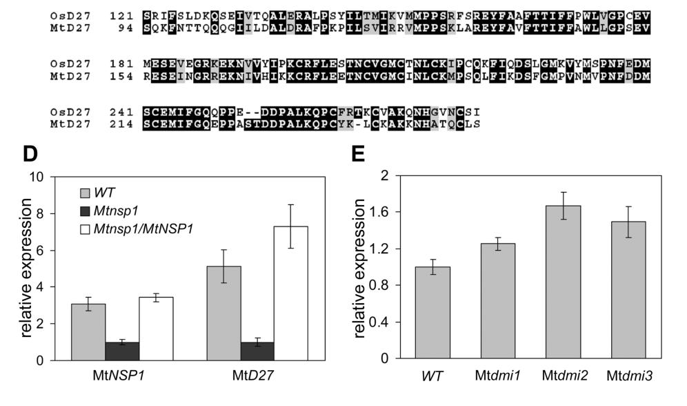 Chapter 5 nonsymbiotic conditions is independent of the common symbiotic signaling pathway, but does depend on MtNSP1 and MtNSP2.