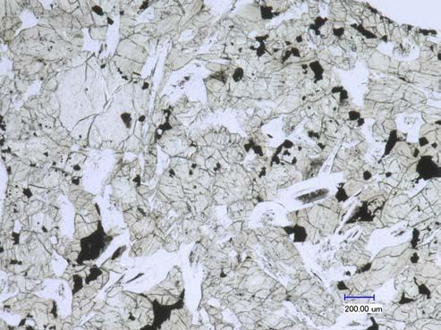 Figure 2: Photomicrographs of thin section 15016,146 by C Meyer @ 20x and 100x. Mineralogy Olivine: Olivine ranges in composition Fo 70-10 (Bence and Papike 1972).