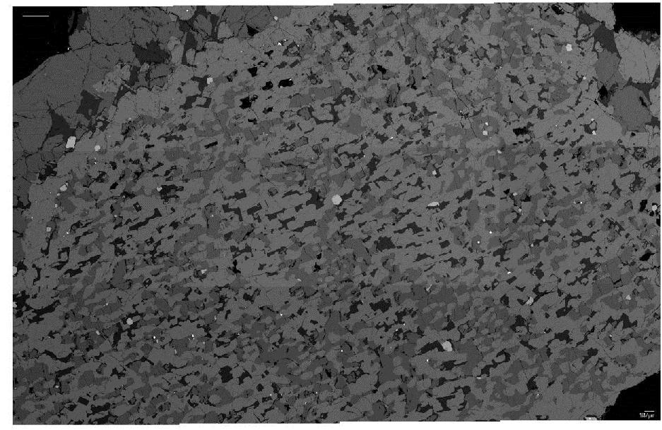 0.5 mm EA-10. Backscattered-electron image of the olivine-rich enclave. Olivine is light grey. The other main phases are subequal proportions of feldspar (darkest grey) and pigeonite (medium grey).