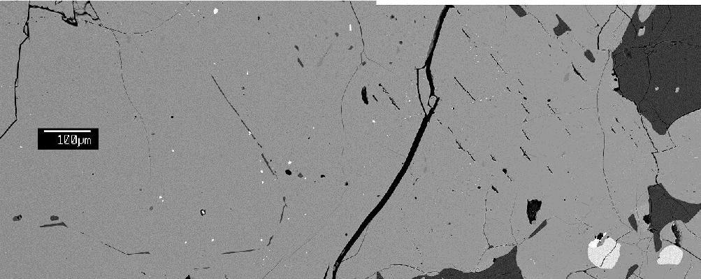 EA-14. BSE image showing exsolution along with complex shock-mobilized feldspar and Cr-spinel features within a NWA 6693 pyroxene. Most of image (medium grey) is low-ca pyroxene.