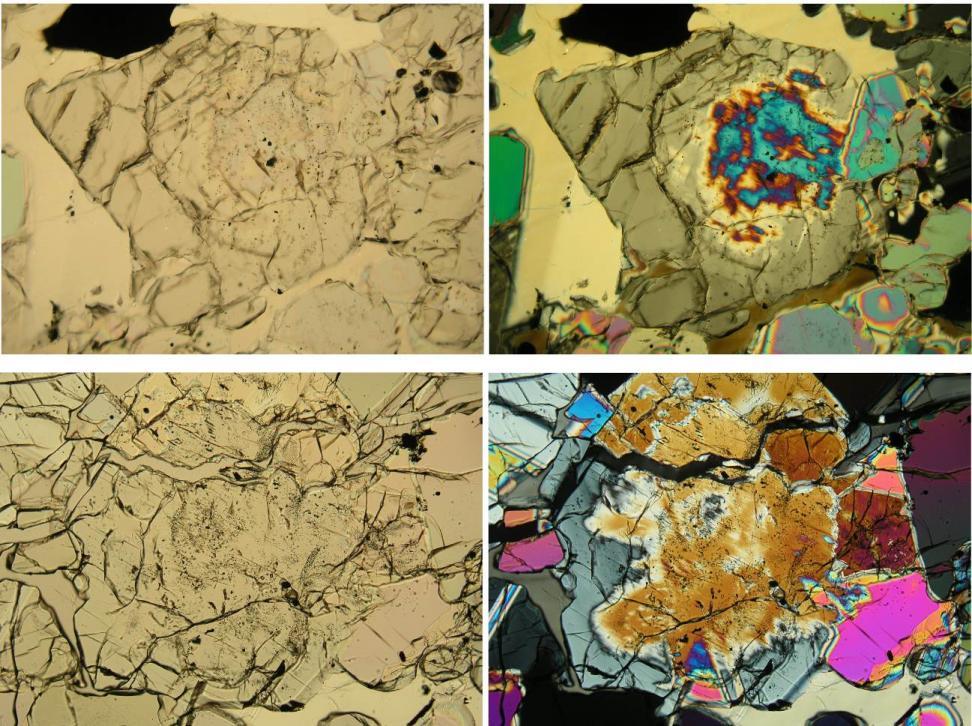 EA-16. Color images of two NWA 6693 pyroxene overgrowth grains. Views are 1.7 mm wide, planepolarized light on the left, crossed nicols on the right, and correspond to greyscale images in Fig. 11.