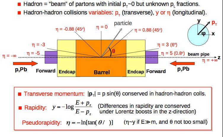 Characterize HI collisions Particle production transverse momentum: component